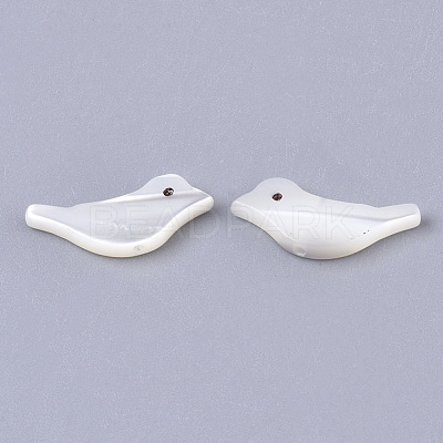 Natural Trochid Shell/Trochus Shell Beads SSHEL-T014-05-1