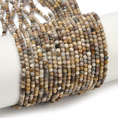 Natural Alashan Agate Beads Strands G-C181-B05-01-1