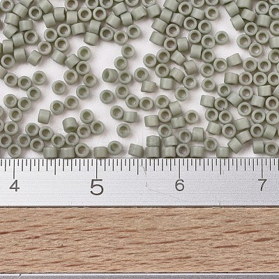 MIYUKI Delica Beads X-SEED-J020-DB2282-1