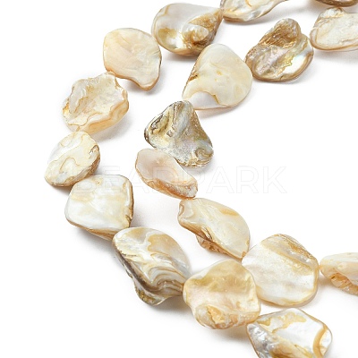 Handmade Shell Beads Strands X-PBB471-1-1