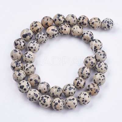Natural Dalmatian Jasper Stone Bead Strands X-G-R193-14-10mm-1