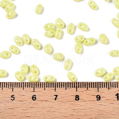 Baking Paint Glass Seed Beads SEED-T006-03D-1