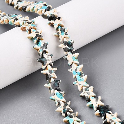 Spray Painted Synthetic Turquoise Beads Strands LS-UNKW-T001-11H-1