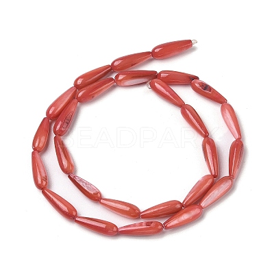 Natural Freshwater Shell Beads Strands SHEL-A004-03F-1