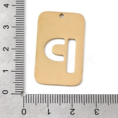 304 Stainless Steel Pendants STAS-D200-01P-G-1