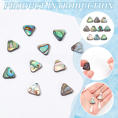 10Pcs Natural Abalone Shell/Paua Shell Beads SSHEL-BC0001-29-1