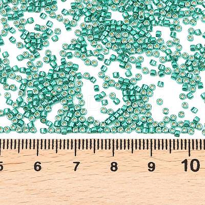 MIYUKI Delica Beads X-SEED-J020-DB2505-1