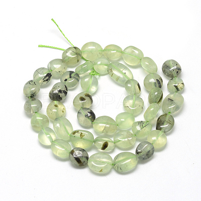 Natural Prehnite Beads Strands X-G-R445-8x10-25-1
