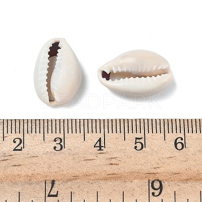 Natural Cowrie Shell Beads X-BSHE-O007-73-1