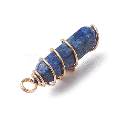 2Pcs 2 Styles Natural Lapis Lazuli Double Terminated Pointed Pendants PALLOY-JF03122-04-1