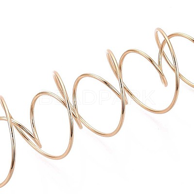201 Stainless Steel Plant Hangers STAS-N120-02G-1