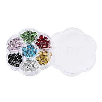 K9 Glass Charms GLAA-N038-22-02P-1