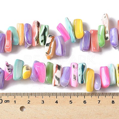 Dyed Natural Trochus Shell Beads Strands X-SSHEL-C013-09G-1