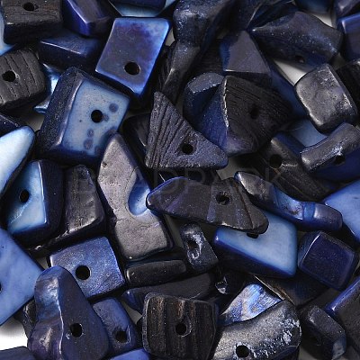 Dyed Natural Freshwater Shell Chips Beads X-SHEL-O001-12C-1