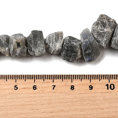 Natural Labradorite Beads Strands G-S386-B04-1