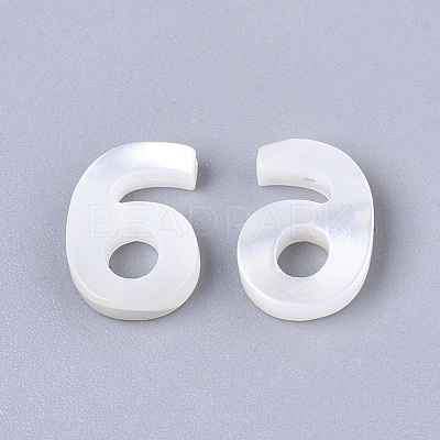 Natural White Shell Mother of Pearl Shell Charms SSHEL-R048-004-06-1