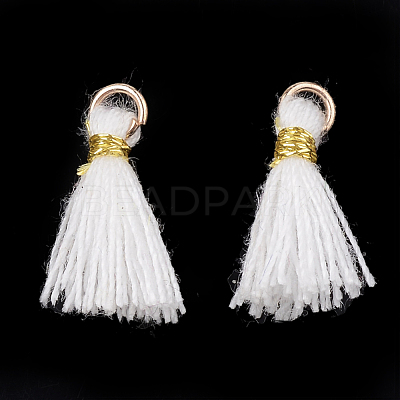 Polycotton(Polyester Cotton) Tassel Pendant Decorations FIND-S281-39-1