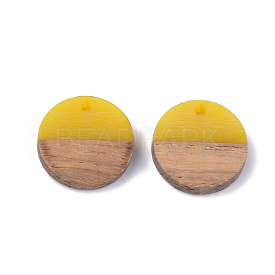 Resin & Walnut Wood Pendants RESI-S358-02C-06-1