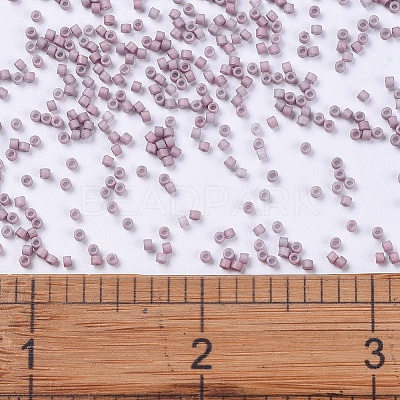 MIYUKI Delica Beads Small X-SEED-J020-DBS0379-1