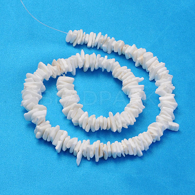 Natural Sea Shell Chips Beads Strands X-BSHE-Q024-02-1