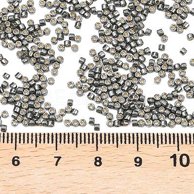 MIYUKI Delica Beads LS-X-SEED-J020-DB2512-1