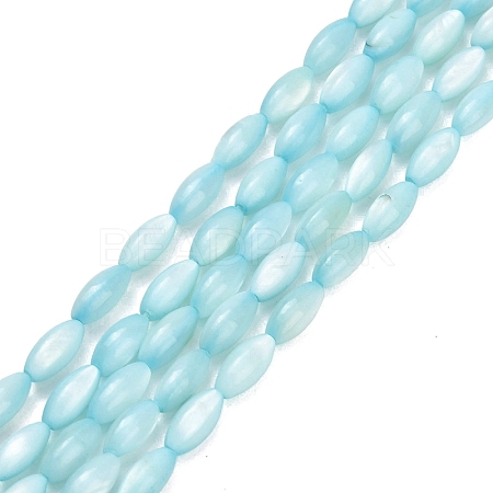Natural Freshwater Shell Beads Strands SHEL-C010-01C-1