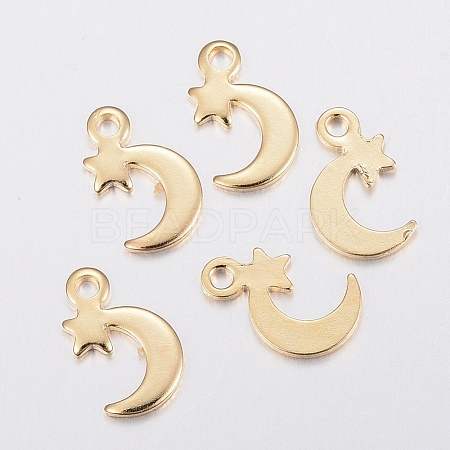 304 Stainless Steel Charms STAS-G179-77G-1