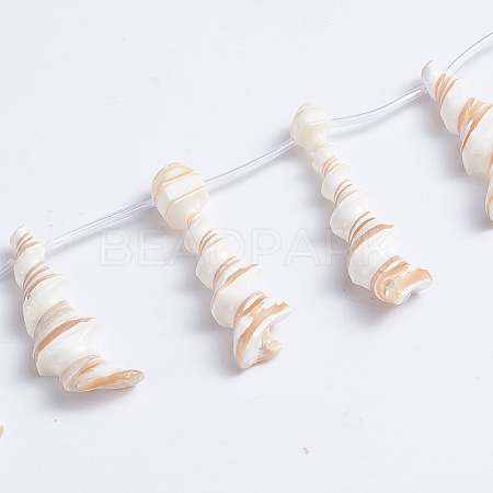 Natural Trochid Shell/Trochus Shell Beads Strands SSHEL-L016-15-1