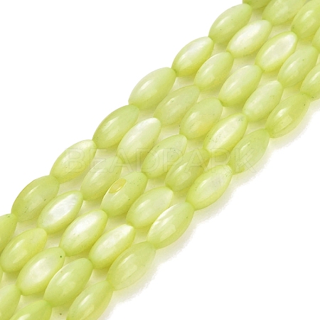 Natural Freshwater Shell Beads Strands SHEL-C010-01D-1