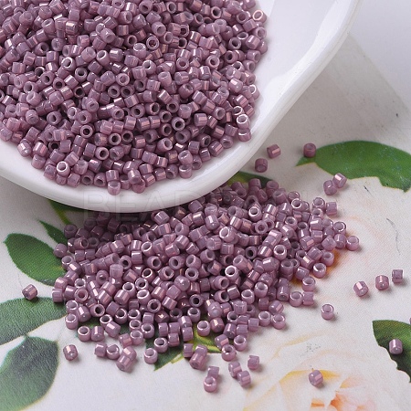 MIYUKI Delica Beads SEED-MY11-DB0253-1