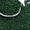 Baking Paint Glass Seed Beads X1-SEED-K010-A23-1