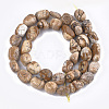 Natural Picture Jasper Beads Strands G-T105-38-2