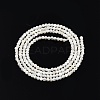 Natural White Shell Bead Strands SSHEL-N003-144A-01-2