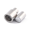 Tarnish Resistant 304 Stainless Steel Magnetic Clasps with Glue-in Ends STAS-F276-04P-3