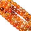 Natural Striped Agate/Banded Agate Beads Strands G-I254-03B-02-3