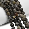 Natural Volcanic Agate Beads Strands G-G305-A01-8mm-1