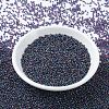 MIYUKI Round Rocailles Beads SEED-X0054-RR0333-2