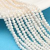 Natural Cultured Freshwater Pearl Beads Strands PEAR-L034-01-1