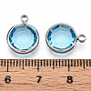 K9 Glass Charms X1-GLAA-T023-37B-04-3
