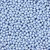 6/0 Glass Seed Beads X1-SEED-L011-08A-23-3