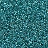 MIYUKI Delica Beads SEED-MY11-DB2380-3