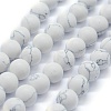 Synthetic Turquoise Beads Strands G-P387-02-10mm-1