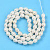 Natural Cultured Freshwater Pearl Beads Strands PEAR-N012-05Y-01-3