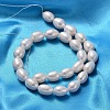 Grade B Natural Cultured Freshwater Pearl Beads Strands SPRB010Y-1-2