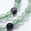 Natural Fluorite Beads Strands G-I199-12-4mm-3