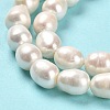 Natural Cultured Freshwater Pearl Beads Strands PEAR-E016-061-4