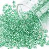 8/0 Glass Seed Beads SEED-A015-3mm-2218-1