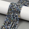 Natural Kyanite Beads Strands G-M092-C01-01-1