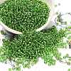 FGB 8/0 Grade A Round Glass Seed Beads SEED-Q007-3mm-F49-1