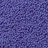MIYUKI Round Rocailles Beads SEED-G008-RR0417L-3